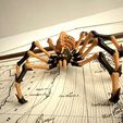 LEONARDZ3D - FLEXI PRINT-IN- PLACE SKELETON SPIDER - HALLOWEEN