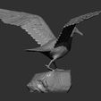 seagull-on-the-stone17.jpg Seagull on the stone 3D print model