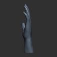 3.jpg low-poly rigging hand model, low-poly rigging hand model