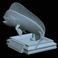 mahi-mahi-model-1-31.png fish mahi mahi / common dolphin trophy statue detailed texture for 3d printing