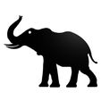 Näyttökuva-2021-07-10-142624.jpg Elephant wall art