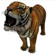 03U.jpg TIGER - DOWNLOAD TIGER 3d model - animated for blender-fbx-unity-maya-unreal-c4d-3ds max - 3D printing TIGER FELINE - CAT - PREDATOR
