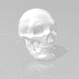 skull.jpg Calavera