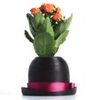 SAM_0395.jpg Bowler Hat Mini Plant Pot for Succulent&Cactus