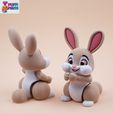 03.jpg Flexi rabbit
