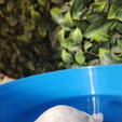 Imagen-de-WhatsApp-2025-10-30-a-las-17.52.13_b179eb65.png Flexi Sea turtle , No support need! Tortuga Marina Flexi