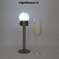 Nightflower-b2.jpg 3D-Datei Nightflower-b kostenlos・Vorlage für den 3D-Druck zum herunterladen
