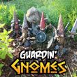 Photo Jun 15, 7 41 14 AM (1).jpg Guardin' Gnomes