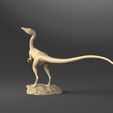 Compy body full base B-Cámara 7.220.jpg Fichier 3D Compsognathus corps entier - Jurassic Park・Objet pour impression 3D à télécharger