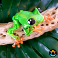 8.png Cinder Frog, Articulating Frog, Tree Frog, Dart Frog, Cinderwing3D, Articulating Flexible Fidget Cute Print in Place No Supports