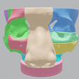 medical,-skull,-dental,-face,-sinus,-eye,-head,-maxillary,-ethmoid,-sphenoid,-frontal,-palate,-anato.png Detailed 3D Printed Multiple Assemblable Parts Nasal Sinus Based on Real Patient CT Scan Data