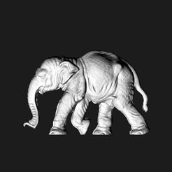 e111.jpg Elephant - indian Elephant - toy Elephant