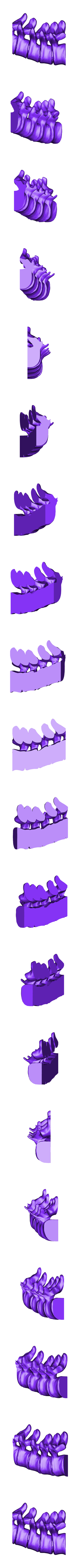 spine_bottom_left.stl Bougeoir pour la colonne vertébrale