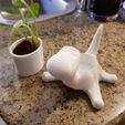 20190315_140200.jpg 3D file Dinosaur plant pot・3D printer model to download