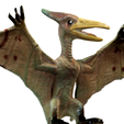 4.png Pteranodon Fliegender Dinosaurier