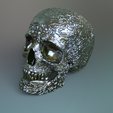 Scull-2g.png Human Rune Scull