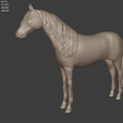 HorseMatcap.png Fichier 3D Cheval andalou・Modèle à imprimer en 3D à télécharger