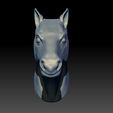 Horse-head-front.jpg horse's head