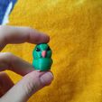 IMG_20260128_152523524.jpg Parrot Nesting Dolls