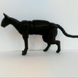 IMG_20191122_141336.jpg STL file Oriental Cat BJD・3D print design to download