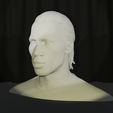 toma-1.png Didier Drogba Bust