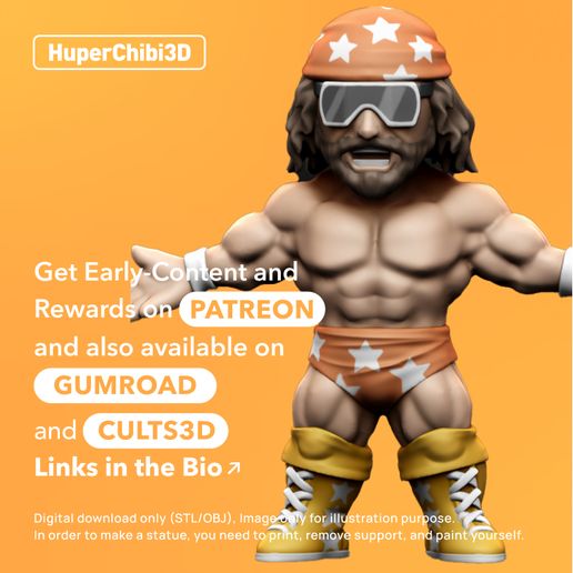 randy.jpg Randy SAVAGE