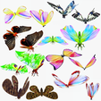 W-portada-COLLECTT.png DOWNLOAD BUTTERFLY  COLECTION 3D MODEL ANIMATED - MAYA - BLENDER 3 - 3DS MAX - UNITY - UNREAL - CINEMA 4D -  3D PRINTING - OBJ - FBX - 3D PROJECT CREATE AND GAME READY BUTTERFLY