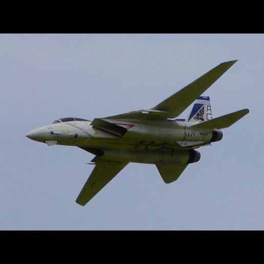 F-14-In-Flight-5.jpg F-14 RC Aircraft (Twin 50mm Fan, 1050mm span)
