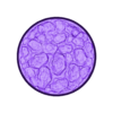 40mmCircularRockground2.stl Rock ground Base Set 2 (Round and Oval Bases// 6 different base sizes)