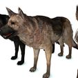 98.jpg DOG DOG DOWNLOAD German Shepherd 3d model animated for blender-fbx-unity-maya-unreal-c4d-3ds max - 3D printing DOG DOG DOG WOLF POLICE PET HUNTER RAPTOR