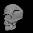 untitled2.png Schädel
