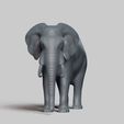 R01.jpg elephant pose 01