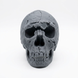5.png Homo Neanderthalensis Skull 3D Printable Model