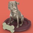 3.jpg Pug dog realistic model, splited and ready for 3d print