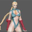 8.jpg CAMMY STREET FIGHTER GAME CHARACTER SEXY GIRL ANIME WOMAN 3D print model