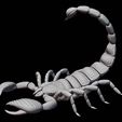 Scorpio_02.jpg All Zodiac Sign Of 3D Mystical Character For 3D Printing 3D print model