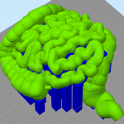 intestine_a.png STL-Datei intestine kostenlos・3D-druckbares Design zum herunterladen