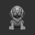 FRONTAL.jpg BEAGLE DOG