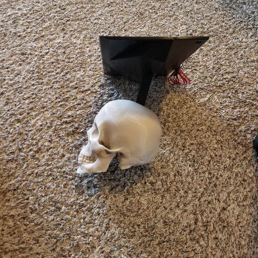 20211101_103007.jpg 3D LED Skull