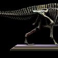 acr05-1.jpg Acrocanthosaurus skeleton.