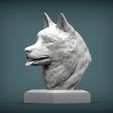 Husky1.jpg Husky bust 3D print model
