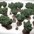 Deciduous-Trees-Old-Forest-Deluxe-Bundle-Minis-Vignette.jpg Deciduous Trees Deluxe Bundle