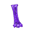 Metatarsals_Right_Part_01.OBJ OBJ file Life size baby T-rex skeleton - Part 03/10・3D printing model to download