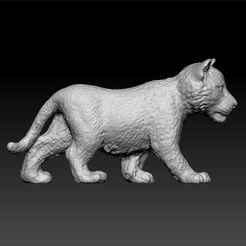 t3.jpg Tiger - toy for kids