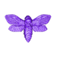 DEATHMOTH.stl Death's Head Hawk Moth