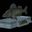 Zander-statue-5.png fish zander / pikeperch / Sander lucioperca statue detailed texture for 3d printing