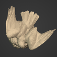 R11.png Lowpoly Eagle Statue - Figurine