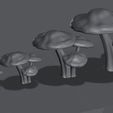 Mushroom_Patch2.jpg Mushroom Patch