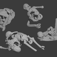 Skeleton2showcase.png Human skeleton corpses