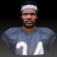 WP_0019_Layer 1.jpg Walter Payton NFL Star textured bust
